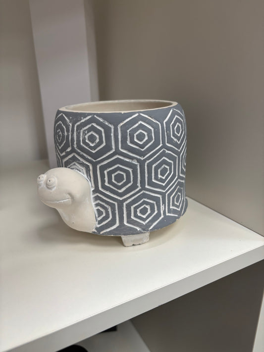 Tortoise plant pot
